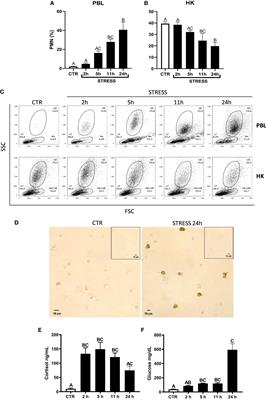 Evolutionarily conserved mechanisms regulating stress-induced neutrophil redistribution in fish